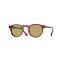 Oliver Peoples OV 5217S 17644C Güneş Gözlüğü, Cinsiyet: Unisex, Ekartman: 50, Resim 8