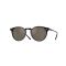 Oliver Peoples OV 5529SU 177239 Güneş Gözlüğü, Resim 7