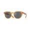 Oliver Peoples OV 5547SU 1779W5 Güneş Gözlüğü, Resim 7