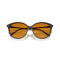 Oliver Peoples OV 5605SU 177278 Güneş Gözlüğü, Resim 6