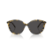 Oliver Peoples OV 5605SU 177887 Güneş Gözlüğü, Resim 5