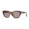 Persol PO 3379S 105253 Güneş Gözlüğü, Cinsiyet: Unisex, Ekartman: 51, Resim 7