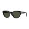Persol PO 3379S 95/31 Güneş Gözlüğü, Cinsiyet: Unisex, Ekartman: 51, Resim 7