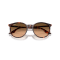Ray-Ban RB 2204 14293B Güneş Gözlüğü, Cinsiyet: Unisex, Ekartman: 54, Resim 6