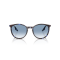 Ray-Ban RB 2204 14303F Güneş Gözlüğü, Cinsiyet: Unisex, Ekartman: 54, Resim 5