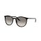Ray-Ban RB 2204 901/32 Güneş Gözlüğü, Cinsiyet: Unisex, Ekartman: 51, Resim 7