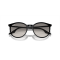 Ray-Ban RB 2204 901/32 Güneş Gözlüğü, Cinsiyet: Unisex, Ekartman: 54, Resim 6
