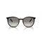 Ray-Ban RB 2204 901/32 Güneş Gözlüğü, Cinsiyet: Unisex, Ekartman: 51, Resim 5