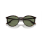 Ray-Ban RB 2204 902/GJ Güneş Gözlüğü, Cinsiyet: Unisex, Ekartman: 54, Resim 5