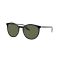Ray-Ban RB 2204 919/58 Güneş Gözlüğü, Cinsiyet: Unisex, Ekartman: 54, Resim 7