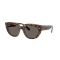 Ray-Ban RB 2286 1292B1 Güneş Gözlüğü, Cinsiyet: Kadın, Ekartman: 52, Resim 7
