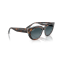 Ray-Ban RB 2286 1413S3 Güneş Gözlüğü, Cinsiyet: Kadın, Ekartman: 52, Polarize: Evet, Resim 4