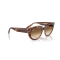 Ray-Ban RB 2286 141451 Güneş Gözlüğü, Cinsiyet: Kadın, Ekartman: 52, Resim 4