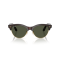 Ray-Ban RB 2341 990/31 Güneş Gözlüğü, Cinsiyet: Unisex, Ekartman: 54, Resim 5