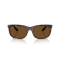 Ray-Ban RB 2389 902/57 Güneş Gözlüğü, Cinsiyet: Unisex, Ekartman: 60, Polarize: Evet, Resim 5