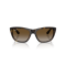 Ray-Ban RB 4154 710/T5 Güneş Gözlüğü, Resim 5