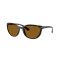 Ray-Ban RB 4167 710/83 Güneş Gözlüğü, Resim 7