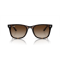 Ray-Ban RB 4420 710/13 Güneş Gözlüğü, Resim 5