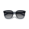 Ray-Ban RB 4423D 6592T3 Güneş Gözlüğü, Resim 6