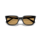 Ray-Ban RB 4439D 901/73 Güneş Gözlüğü, Resim 6
