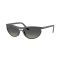 Ray-Ban RB 4453 601711 Güneş Gözlüğü, Resim 7