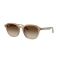 Ray-Ban RB 4459D 616613 Güneş Gözlüğü, Resim 7