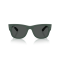 Ray-Ban RB 4840S 665787 Güneş Gözlüğü, Cinsiyet: Unisex, Ekartman: 52, Resim 5