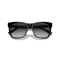 Ralph Lauren RL 8212 50018G Güneş Gözlüğü, Resim 5