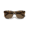 Ralph Lauren RL 8212 500473 Güneş Gözlüğü, Resim 5