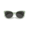 Ralph Lauren RL 8215BU 608287 Güneş Gözlüğü, Resim 5