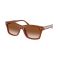 Ralph Lauren RL 8237U 630613 Güneş Gözlüğü, Resim 6