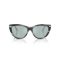 Tiffany TF 4253 84437C Güneş Gözlüğü, Resim 4