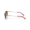 Arnette AN 3095 745/73 Güneş Gözlüğü, Resim 2