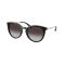 Michael Kors MK 2274U 30058G Güneş Gözlüğü, Resim 6