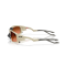 Oakley OO 9529 952903 Güneş Gözlüğü, Resim 2