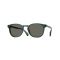 Oliver Peoples OV 5298SU 1763R5 Güneş Gözlüğü, Cinsiyet: Unisex, Ekartman: 51, Resim 7