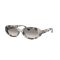 Ray-Ban RB 2223 144832 Güneş Gözlüğü, Resim 6