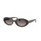 Ray-Ban RB 2223 902/M3 Güneş Gözlüğü, Resim 6