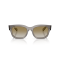 Ray-Ban RB 2228M F7046E Güneş Gözlüğü, Resim 4