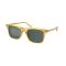 Ralph Lauren RL 8242U 50053R Güneş Gözlüğü, Resim 5