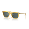 Ralph Lauren RL 8242U 50053R Güneş Gözlüğü