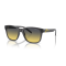Arnette AN 4320 27862Q Güneş Gözlüğü