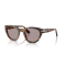 Persol PO 3379S 105253 Güneş Gözlüğü, Cinsiyet: Unisex, Ekartman: 54