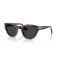 Persol PO 3379S 24/48 Güneş Gözlüğü, Cinsiyet: Unisex, Ekartman: 54, Polarize: Evet