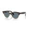 Ray-Ban RB 2341 990/3R Güneş Gözlüğü, Cinsiyet: Unisex, Ekartman: 54, Polarize: Evet