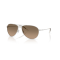 Oliver Peoples OV 1002S 5036GN Güneş Gözlüğü