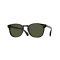 Oliver Peoples OV 5298SU 167752 Güneş Gözlüğü, Cinsiyet: Unisex, Ekartman: 53, Resim 12