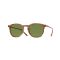 Oliver Peoples OV 5491SU 174252 Güneş Gözlüğü, Cinsiyet: Unisex, Ekartman: 50, Resim 8