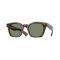 Oliver Peoples OV 5498SU 179452 Güneş Gözlüğü, Resim 12