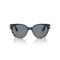 Persol PO 3287S 116056 Güneş Gözlüğü, Resim 5